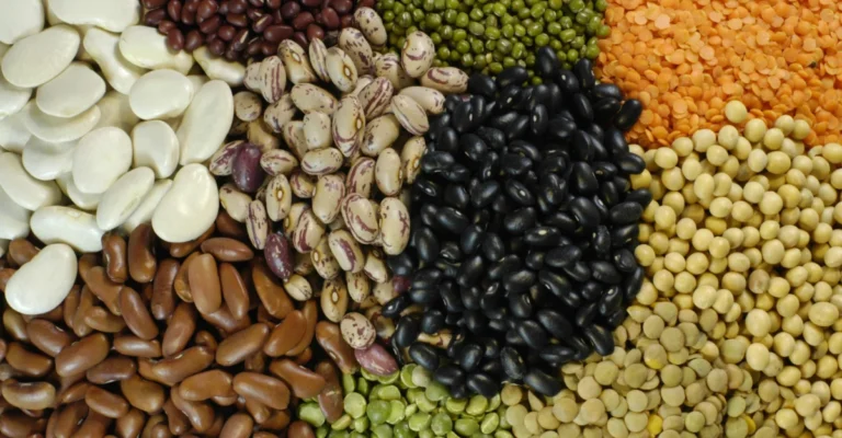 How Natural Pure Foods Delivers Fresh Spices, Pulses & Grains Worldwide